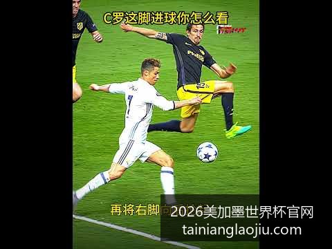 阿根廷队逆,转法国队,世界杯决赛,2026美加墨世界杯官网,美加墨世界杯赛事评测,2026世界杯赛程,美加墨团队分析,世界杯直播观看